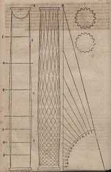 Forma de columna abultada y secciones transversales de columnas